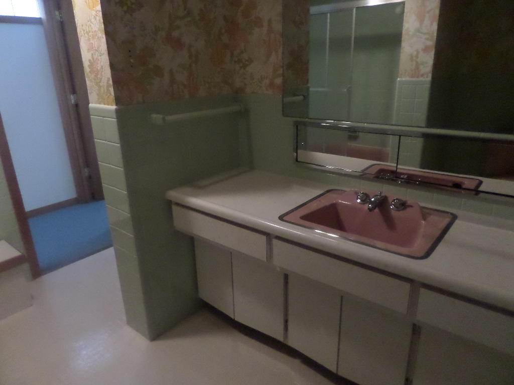 107 Colby Road Oak Ridge, TN 37830 - Photo 27 of 30 Lower Level Bathroom