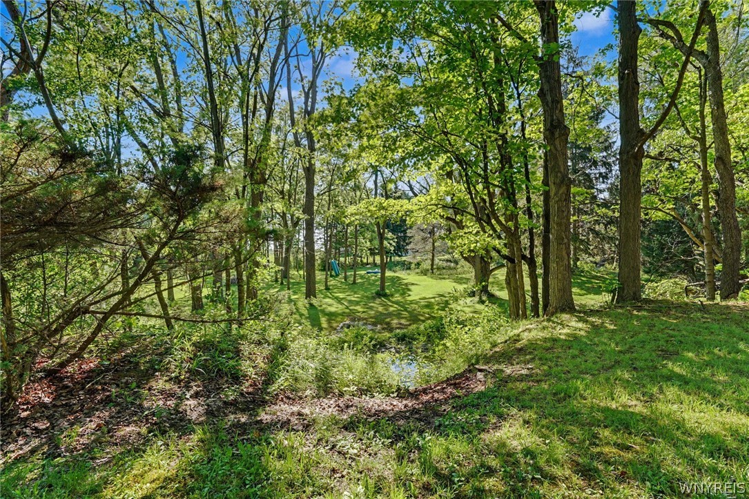 11288 Newell Road Dunkirk, NY 14048 - Photo 45 of 49