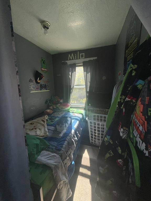 33 Adam Street Pittsfield, MA 01201 - Photo 23 of 29