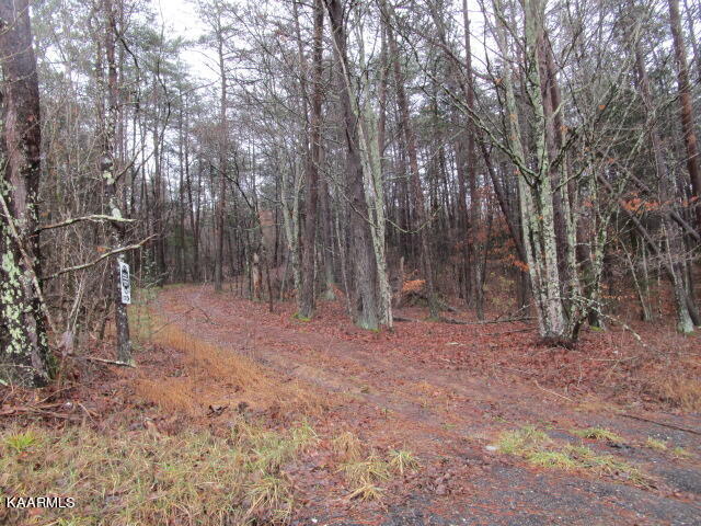 961 Lester Whitt Road Rutledge, TN 37861 - Photo 1 of 6 IMG_3653