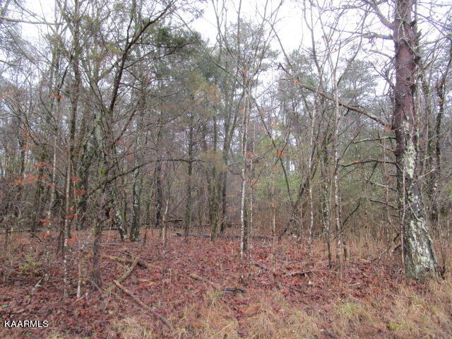 961 Lester Whitt Road Rutledge, TN 37861 - Photo 2 of 6 IMG_3652