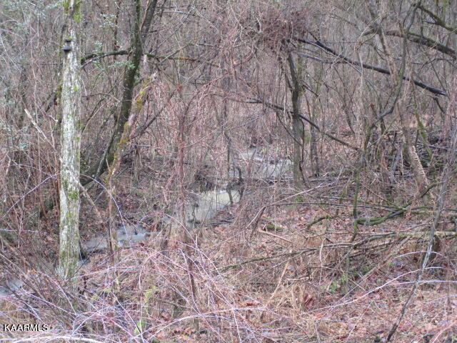 961 Lester Whitt Road Rutledge, TN 37861 - Photo 3 of 6 IMG_3656