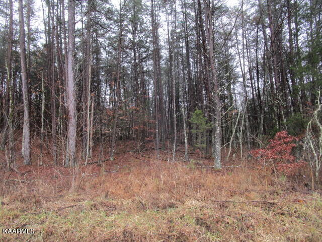 961 Lester Whitt Road Rutledge, TN 37861 - Photo 5 of 6 IMG_3654