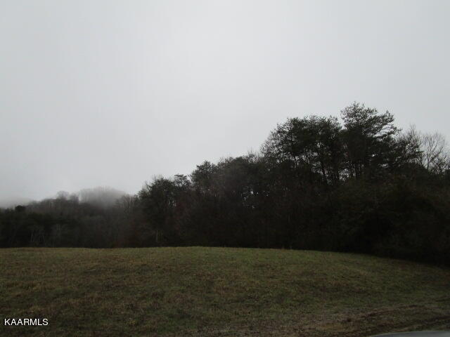 961 Lester Whitt Road Rutledge, TN 37861 - Photo 6 of 6 IMG_3651