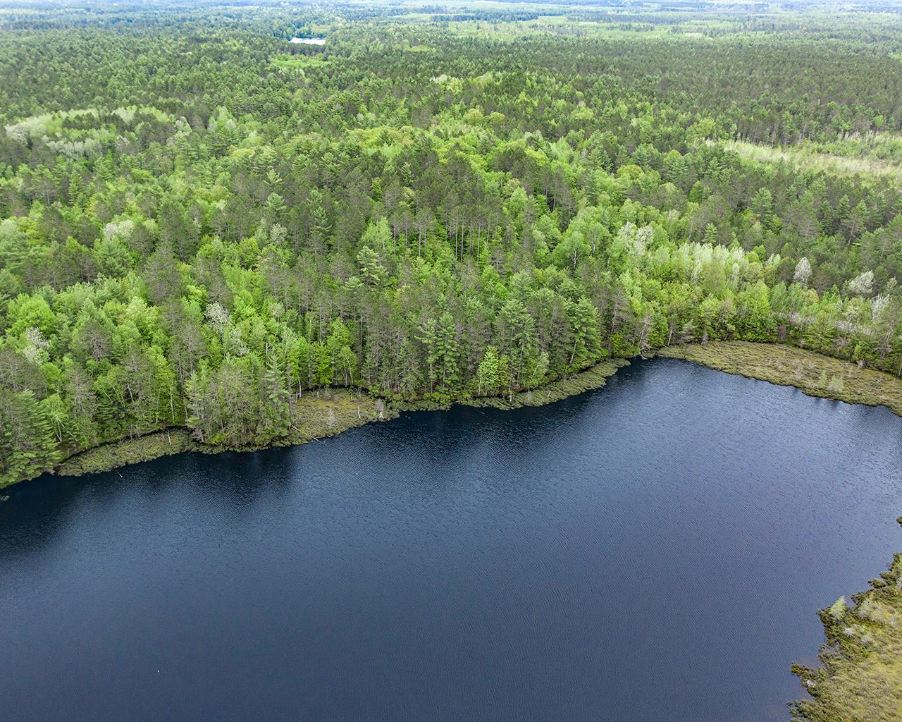 Lot 8 Somo Ridge Road Tomahawk, WI 54487 - Photo 8 of 9 Gallery Image 8
