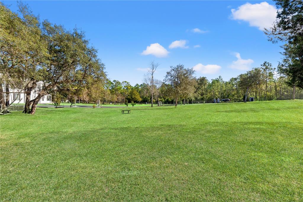 14485 Switch Back Road Spring Hill, FL 34609 - Photo 77 of 87