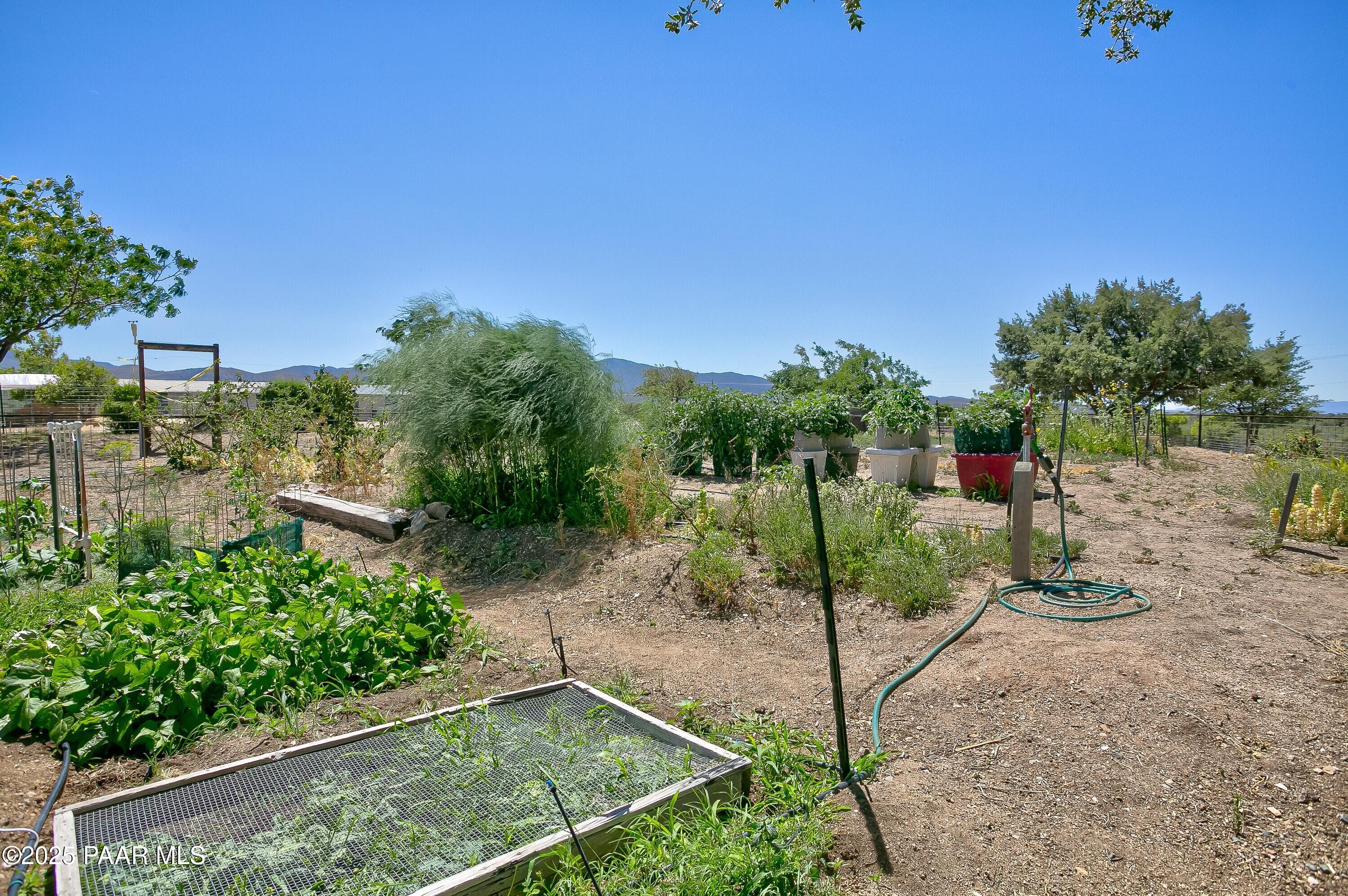 11800 West Faded Whistle Road Prescott, AZ 86305 - Photo 48 of 65 a view of a garden with plants
