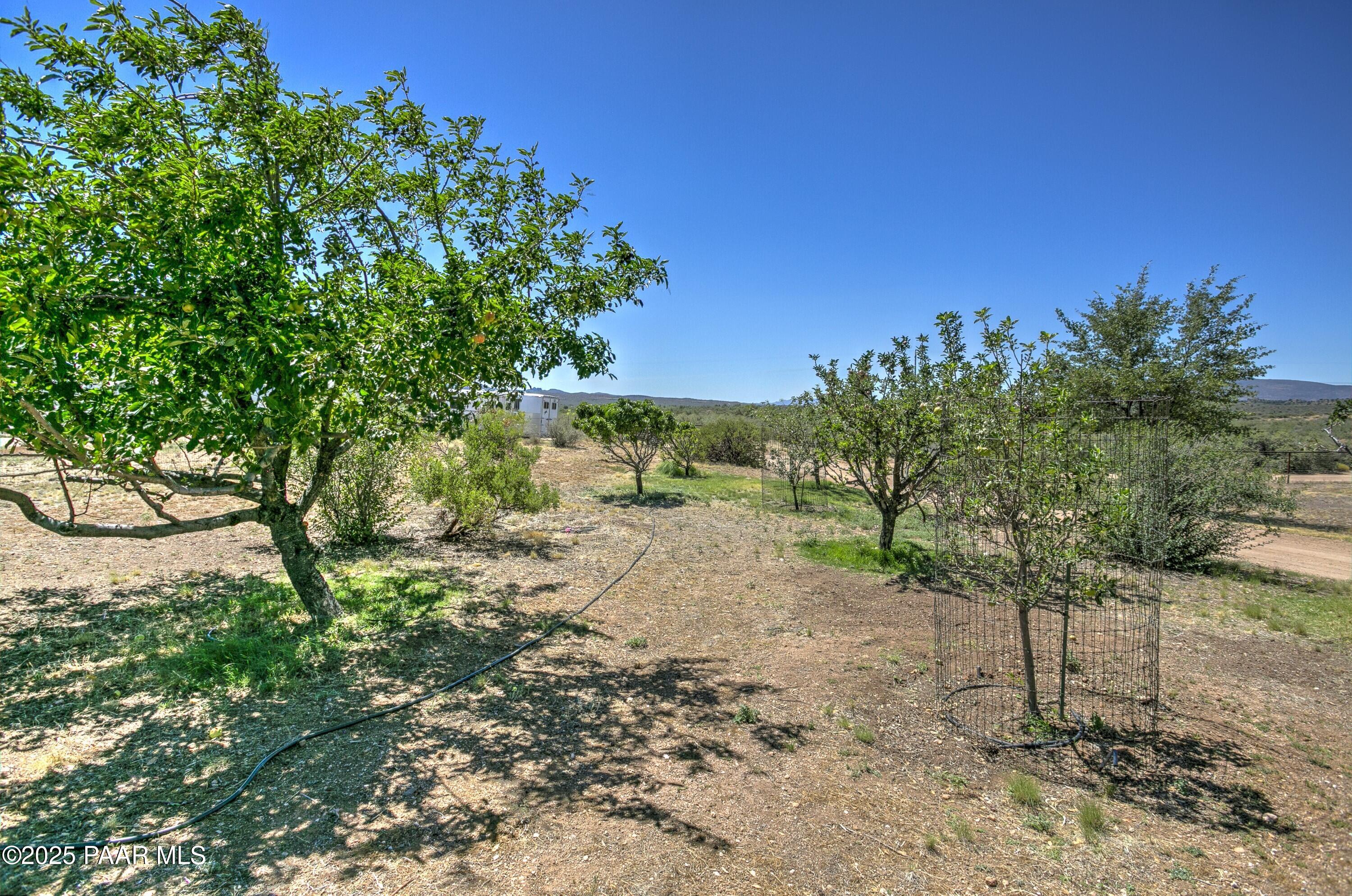 11800 West Faded Whistle Road Prescott, AZ 86305 - Photo 50 of 65 a view of a yard with a tree