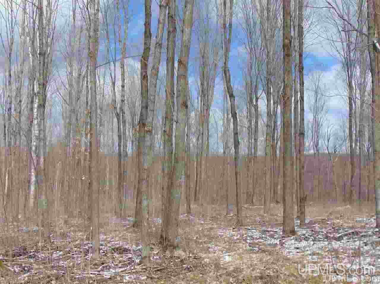 Tbd County Line Lake Road Watersmeet, MI 49969 - Photo 4 of 20 Gallery Image 4