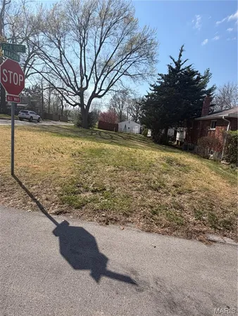 $9,300 | 4421 Picajune Avenue, St. Louis, MO 63134