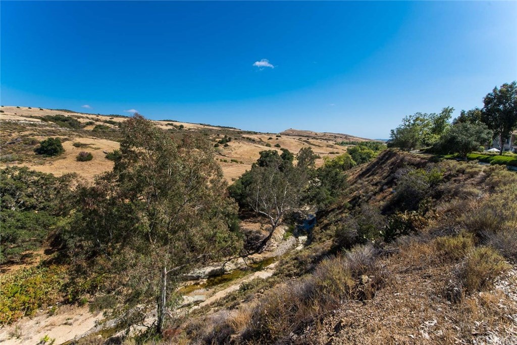 24 Rabano Rancho Santa Margarita, CA 92688 - Photo 1 of 1 Gallery Image 1