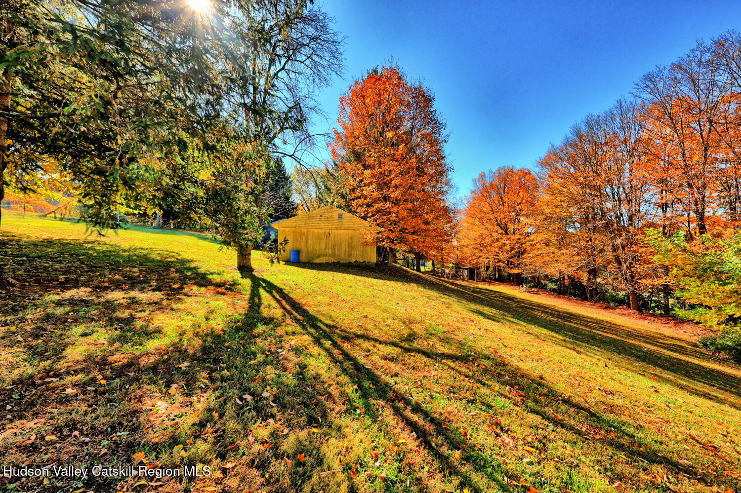 31 Yellow City Road Amenia, NY 12501 - Photo 21 of 80 a view of a yard with an outdoor space