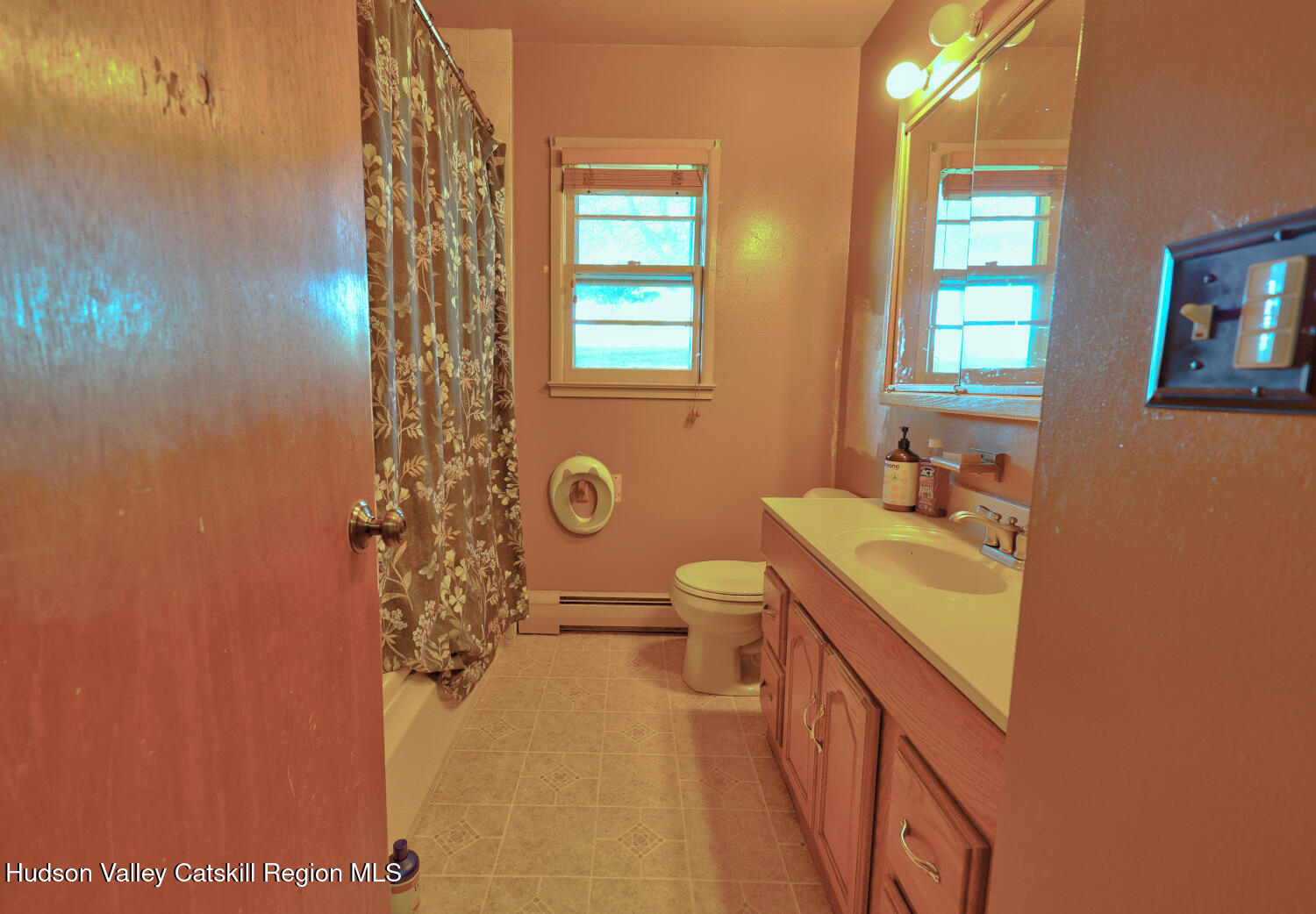 31 Yellow City Road Amenia, NY 12501 - Photo 41 of 80 a bathroom with a sink a toilet and a mirror