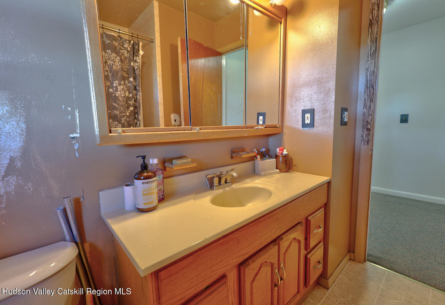 31 Yellow City Road Amenia, NY 12501 - Photo 42 of 80 a bathroom with a sink and a mirror