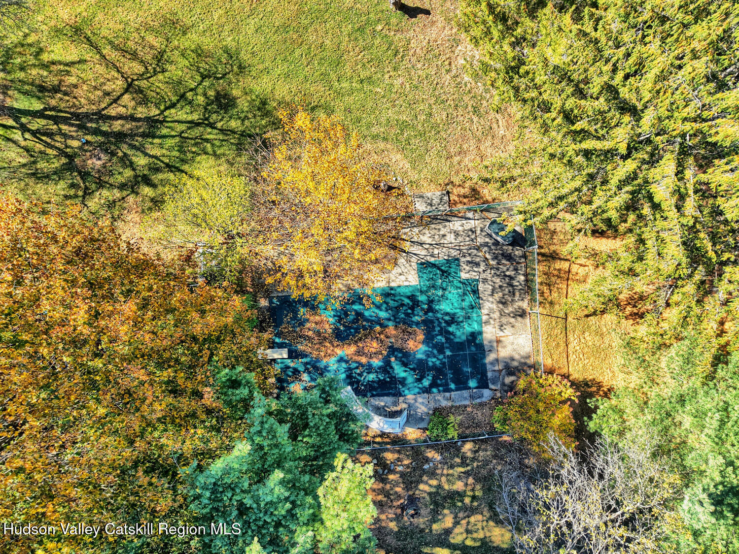31 Yellow City Road Amenia, NY 12501 - Photo 71 of 80 a view of a large yard with plants and large trees