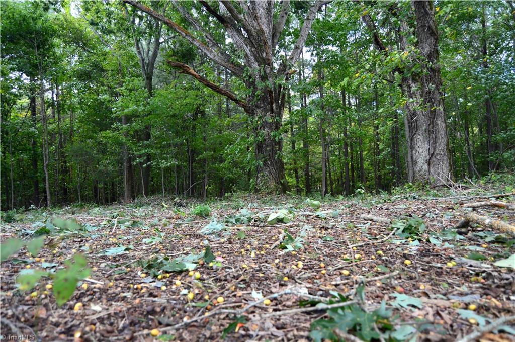 0 Bethesda Church Road Ruffin, NC 27326 - Photo 11 of 44 Gallery Image 11