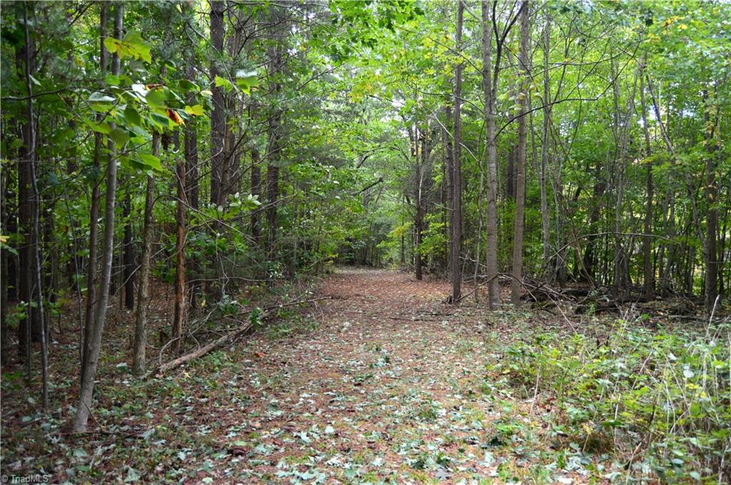 0 Bethesda Church Road Ruffin, NC 27326 - Photo 13 of 44 Gallery Image 13