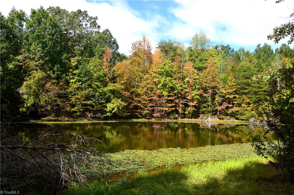 0 Bethesda Church Road Ruffin, NC 27326 - Photo 15 of 44 Gallery Image 15