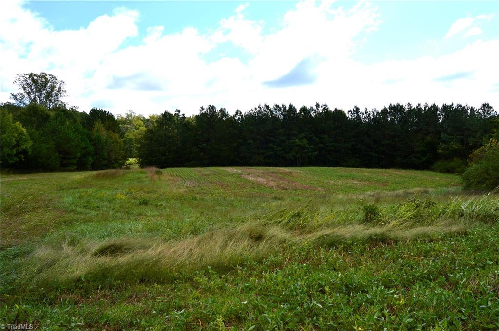 0 Bethesda Church Road Ruffin, NC 27326 - Photo 16 of 44 Gallery Image 16