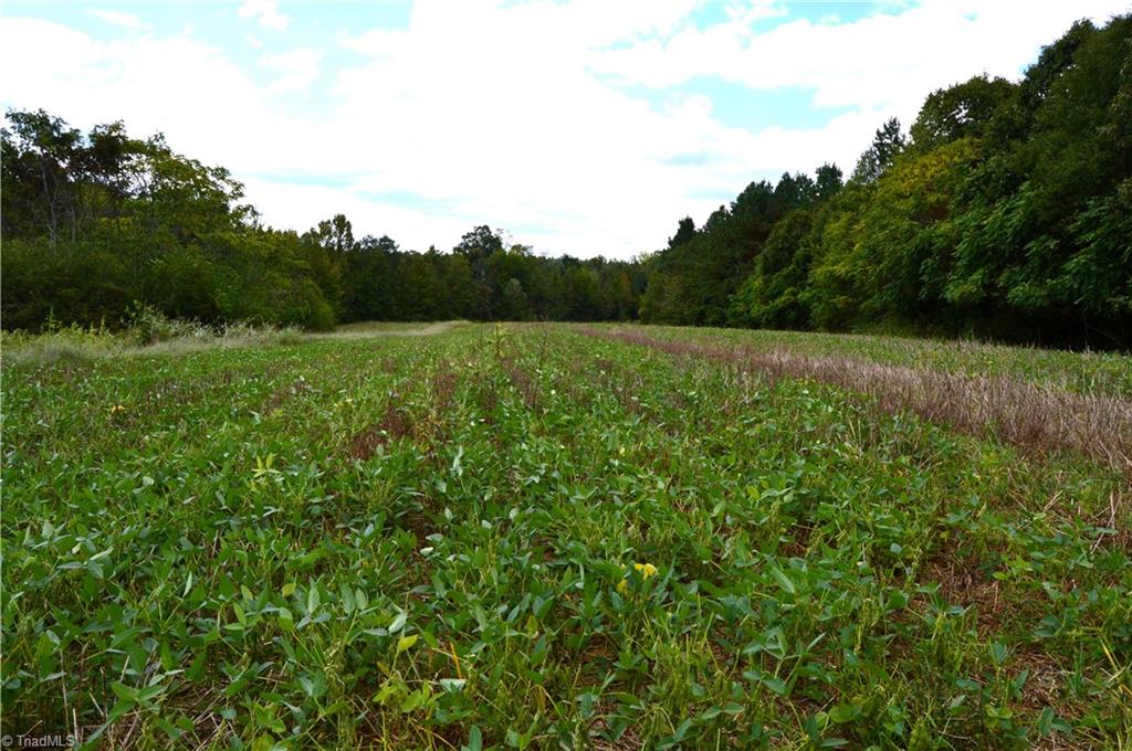 0 Bethesda Church Road Ruffin, NC 27326 - Photo 17 of 44 Gallery Image 17