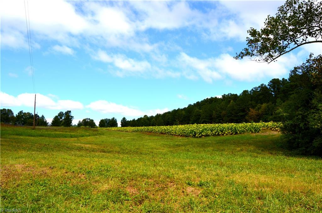 0 Bethesda Church Road Ruffin, NC 27326 - Photo 18 of 44 Gallery Image 18