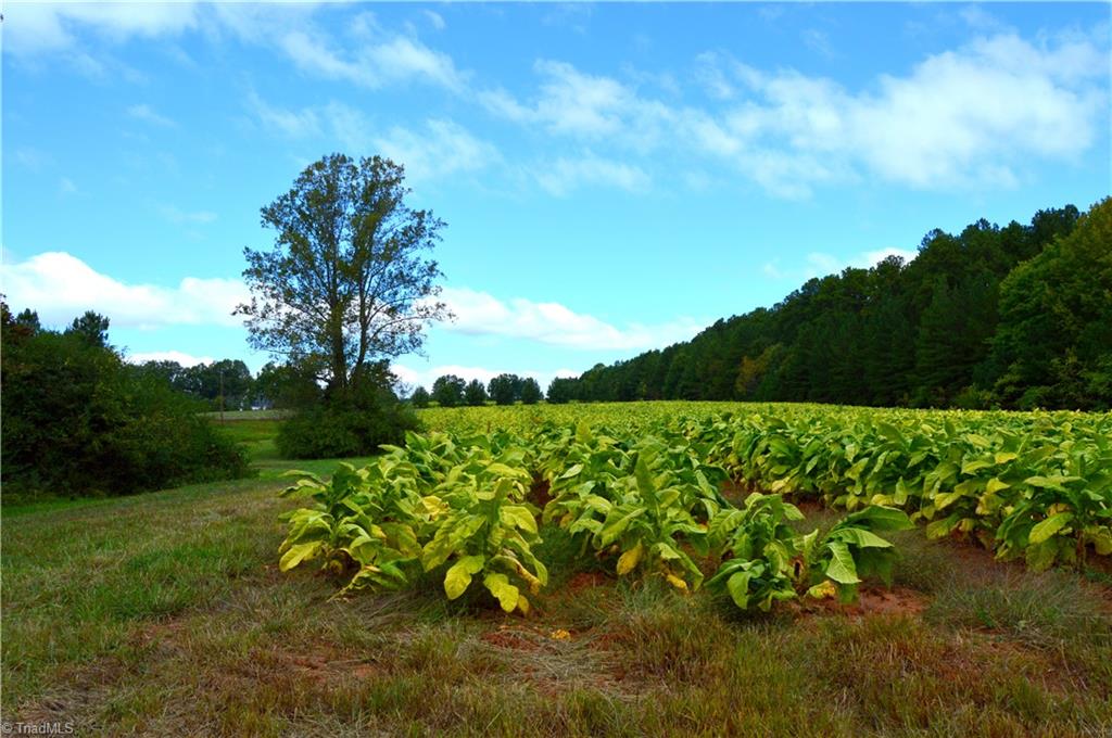 0 Bethesda Church Road Ruffin, NC 27326 - Photo 20 of 44 Gallery Image 20