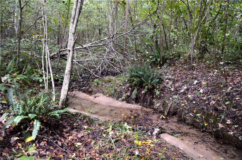 0 Bethesda Church Road Ruffin, NC 27326 - Photo 24 of 44 Gallery Image 24