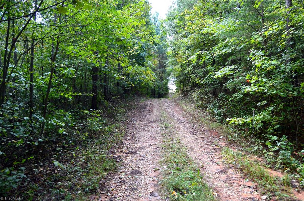 0 Bethesda Church Road Ruffin, NC 27326 - Photo 25 of 44 Gallery Image 25