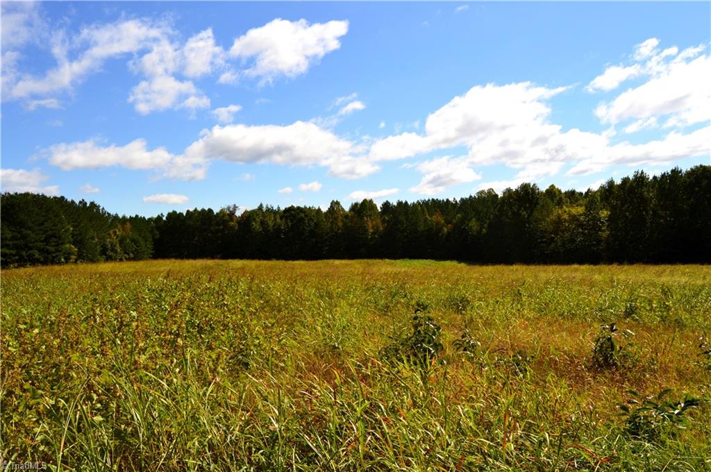 0 Bethesda Church Road Ruffin, NC 27326 - Photo 26 of 44 Gallery Image 26
