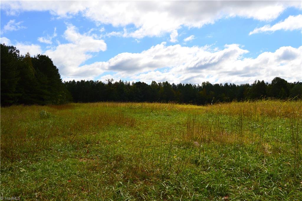 0 Bethesda Church Road Ruffin, NC 27326 - Photo 27 of 44 Gallery Image 27
