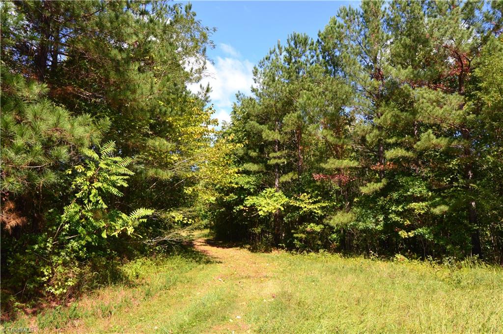 0 Bethesda Church Road Ruffin, NC 27326 - Photo 33 of 44 Gallery Image 33