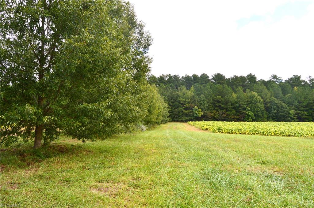 0 Bethesda Church Road Ruffin, NC 27326 - Photo 4 of 44 Gallery Image 4