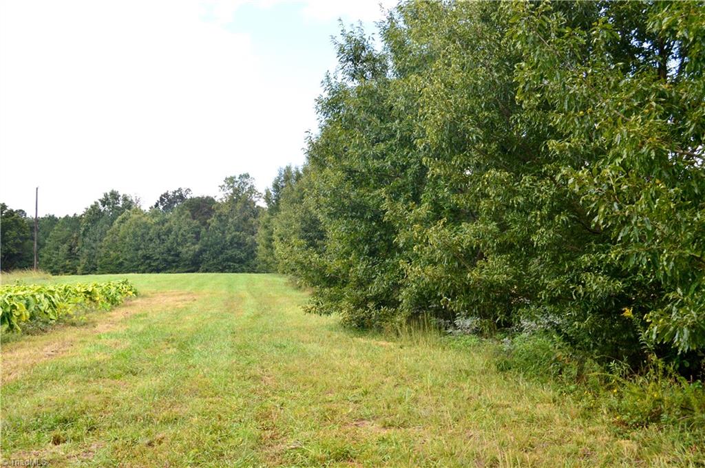 0 Bethesda Church Road Ruffin, NC 27326 - Photo 6 of 44 Gallery Image 6