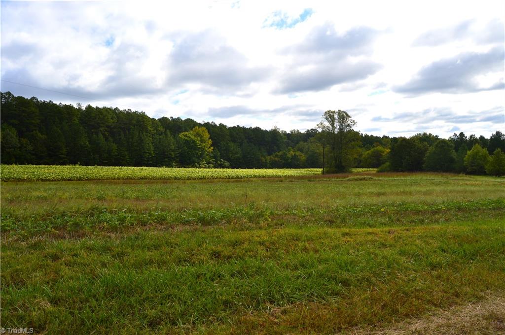 0 Bethesda Church Road Ruffin, NC 27326 - Photo 8 of 44 Gallery Image 8
