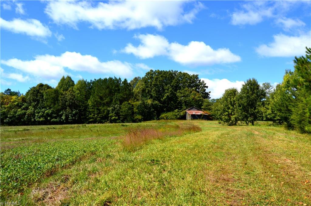 0 Bethesda Church Road Ruffin, NC 27326 - Photo 9 of 44 Gallery Image 9