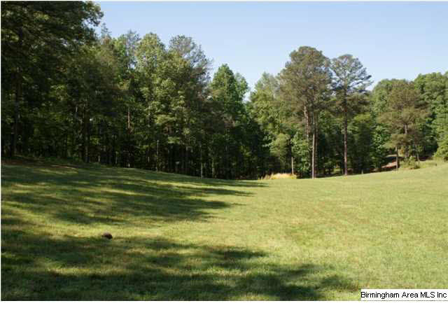 596 Signal Valley Trail Chelsea, AL 35043 - Photo 24 of 30