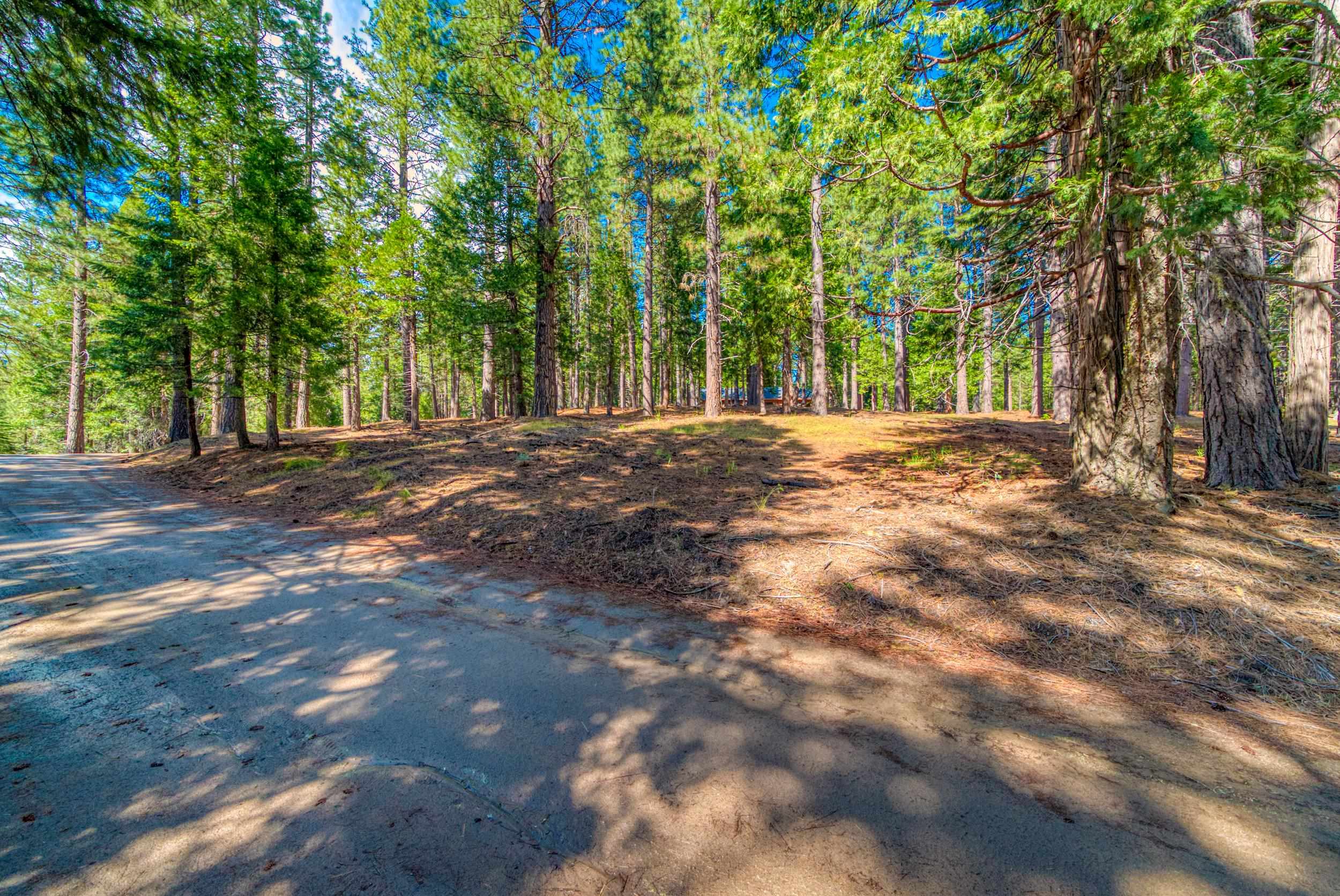 954 Red Fox Road Clio, CA 96106 - Photo 17 of 22