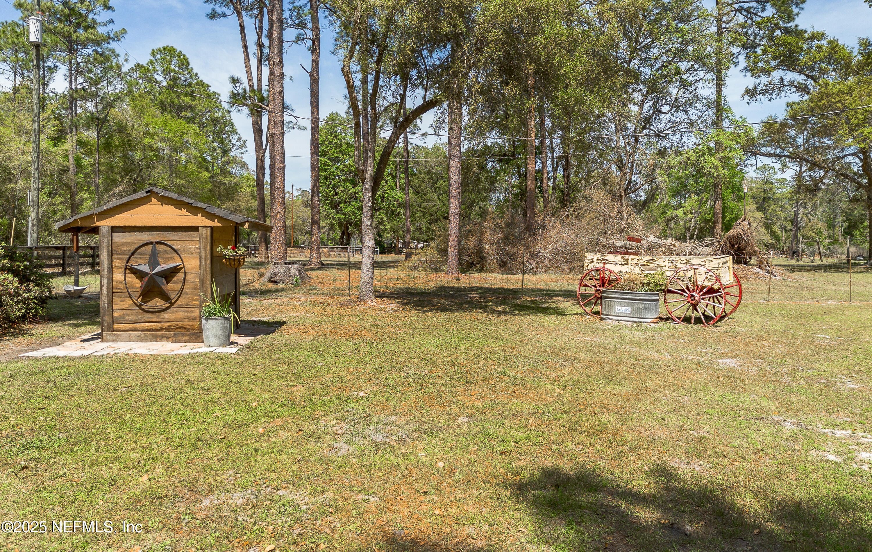 1357 Starling Road Middleburg, FL 32068 - Photo 38 of 46 Ext Front Yard