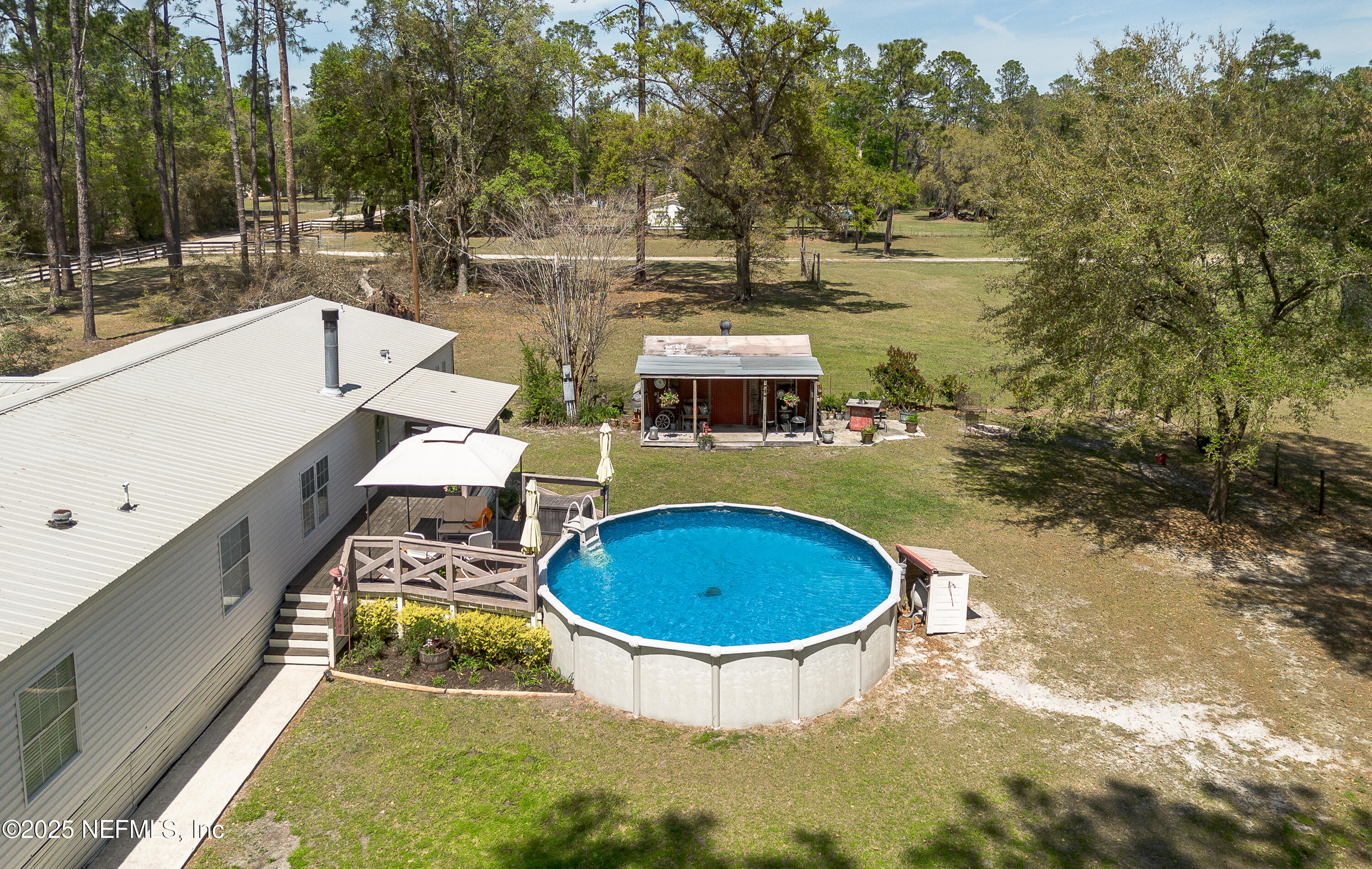 1357 Starling Road Middleburg, FL 32068 - Photo 40 of 46 Backyard Pool