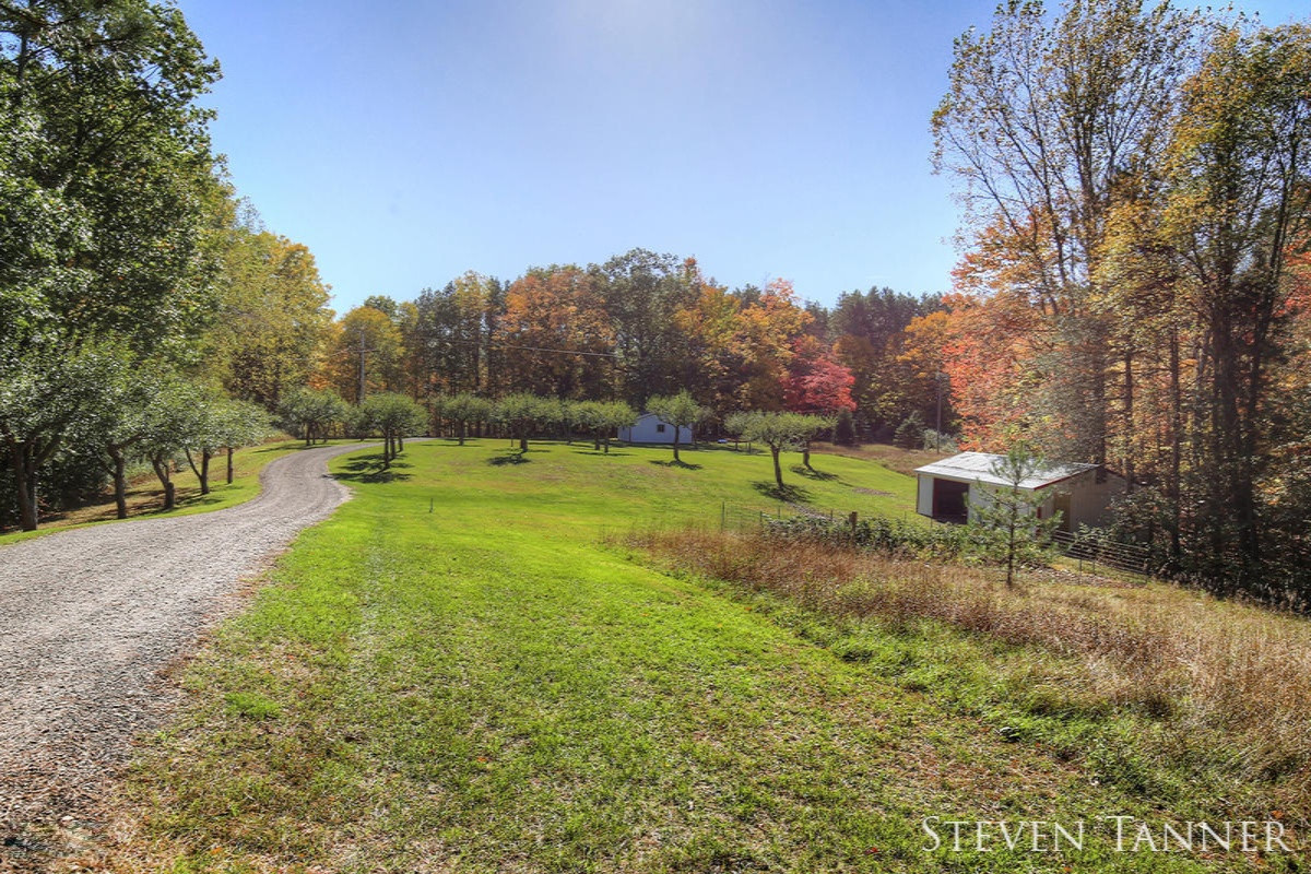 299 East Pakes Road Stanton, MI 48888 - Photo 26 of 28 IMG_3015