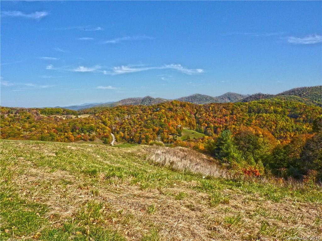 0 Hickory Ridge Road Hot Springs, NC 28743 - Photo 13 of 25 Gallery Image 13