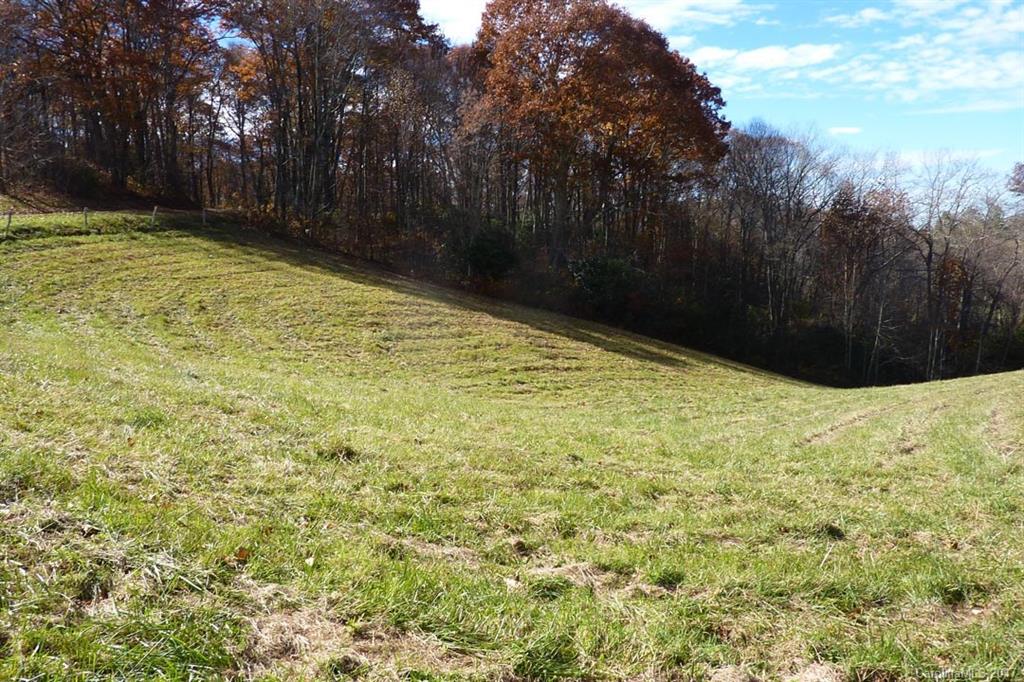 0 Hickory Ridge Road Hot Springs, NC 28743 - Photo 16 of 25 Gallery Image 16