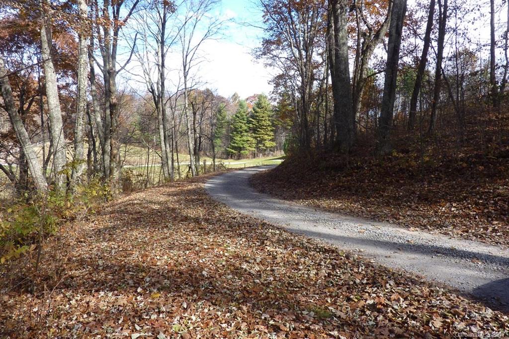 0 Hickory Ridge Road Hot Springs, NC 28743 - Photo 17 of 25 Gallery Image 17