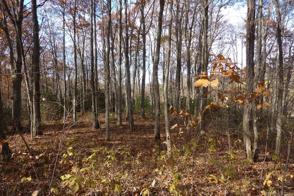 0 Hickory Ridge Road Hot Springs, NC 28743 - Photo 18 of 25 Gallery Image 18