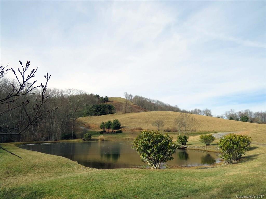 0 Hickory Ridge Road Hot Springs, NC 28743 - Photo 20 of 25 Gallery Image 20