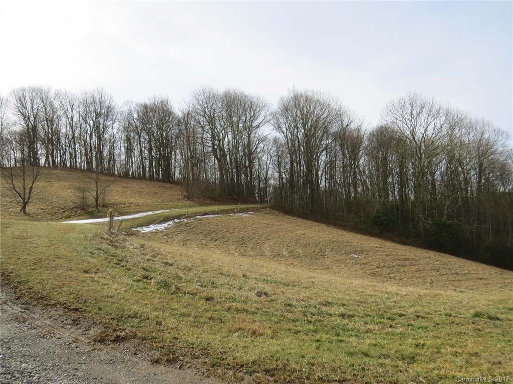 0 Hickory Ridge Road Hot Springs, NC 28743 - Photo 21 of 25 Gallery Image 21