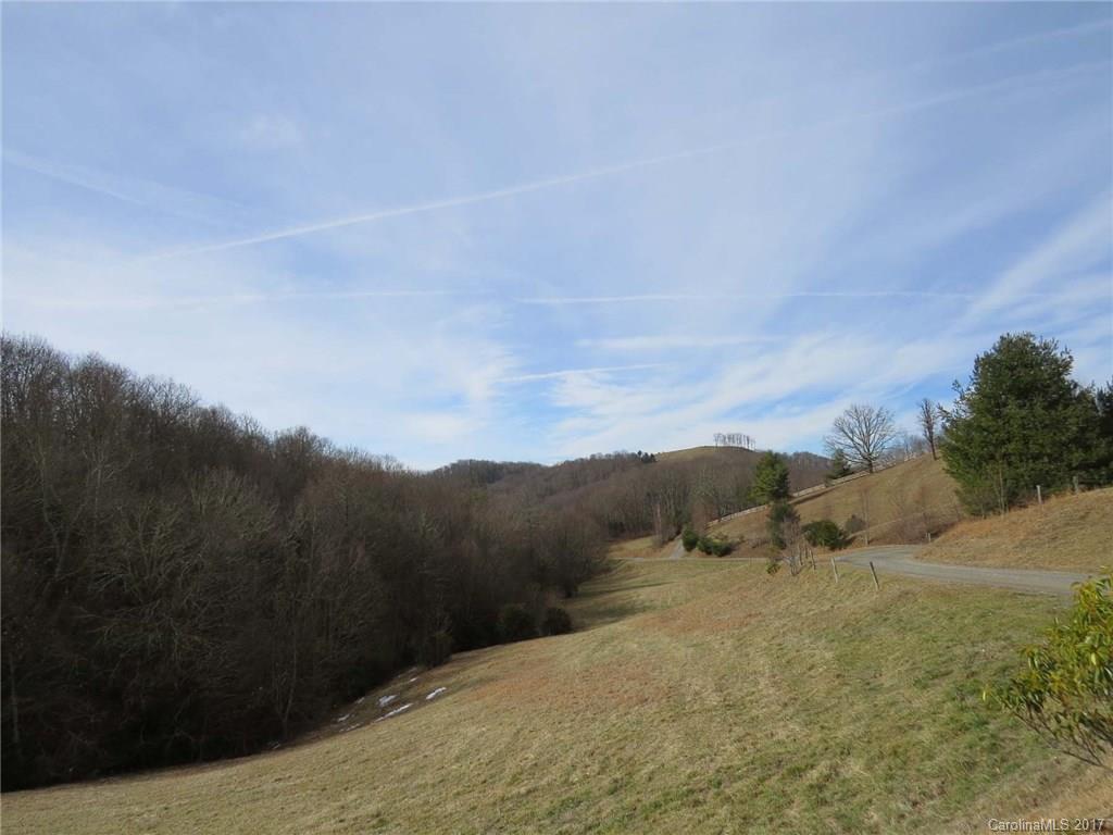 0 Hickory Ridge Road Hot Springs, NC 28743 - Photo 22 of 25 Gallery Image 22