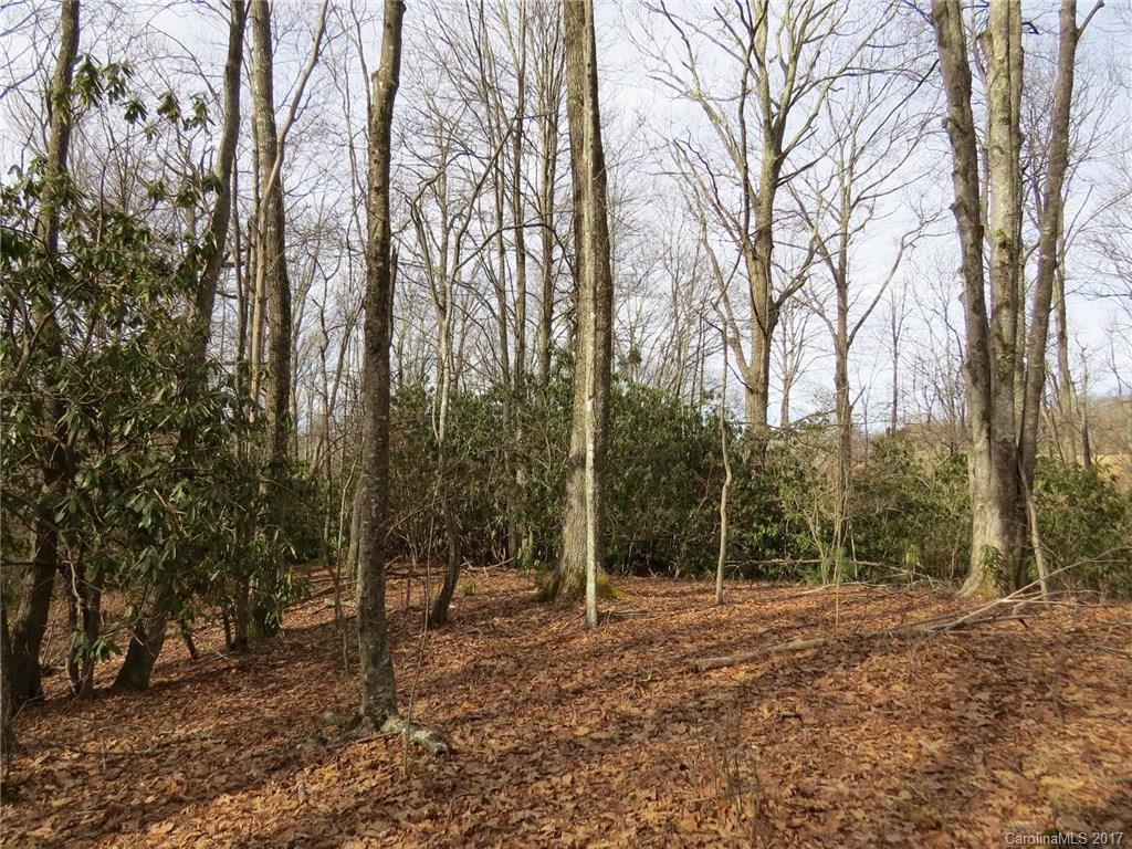 0 Hickory Ridge Road Hot Springs, NC 28743 - Photo 23 of 25 Gallery Image 23