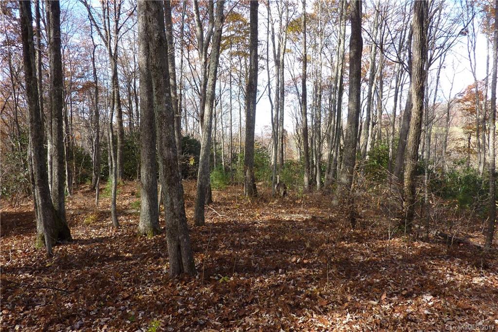 0 Hickory Ridge Road Hot Springs, NC 28743 - Photo 24 of 25 Gallery Image 24
