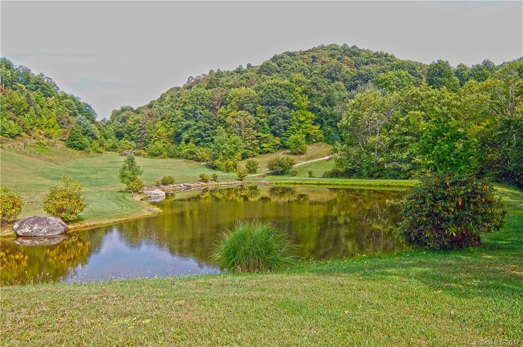 0 Hickory Ridge Road Hot Springs, NC 28743 - Photo 9 of 25 Gallery Image 9